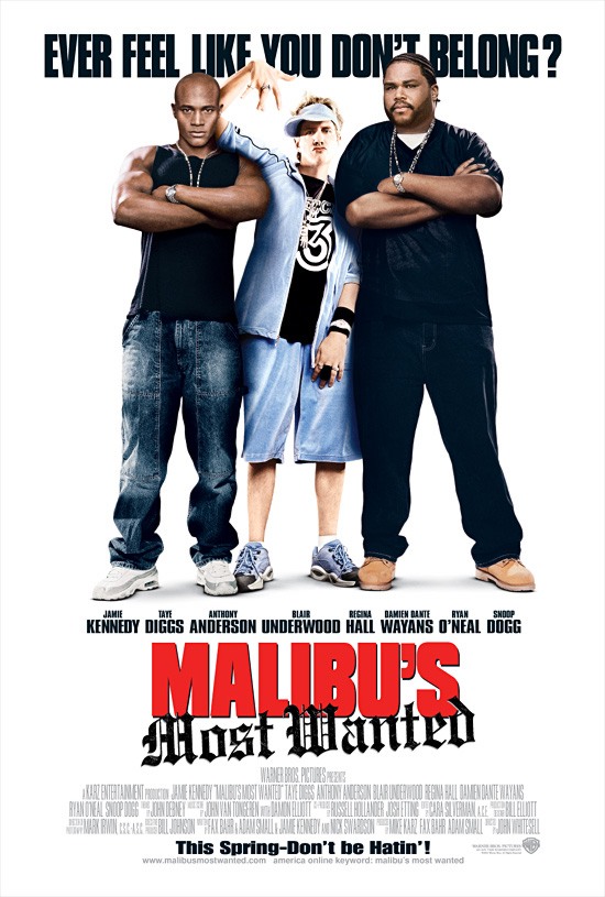 Разыскиваются в Малибу (Malibu's Most Wanted)